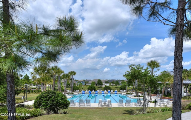 view of pool featuring a patio and a yard