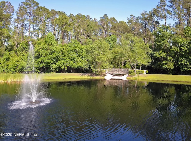 view of water feature