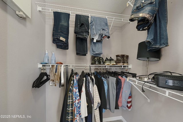 view of walk in closet