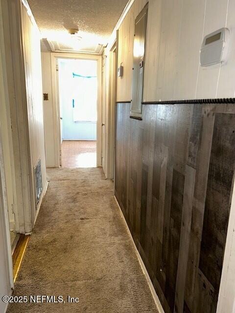 hallway with carpet floors, a textured ceiling, and wood walls