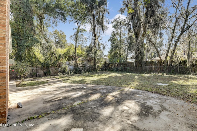 view of yard featuring a patio area