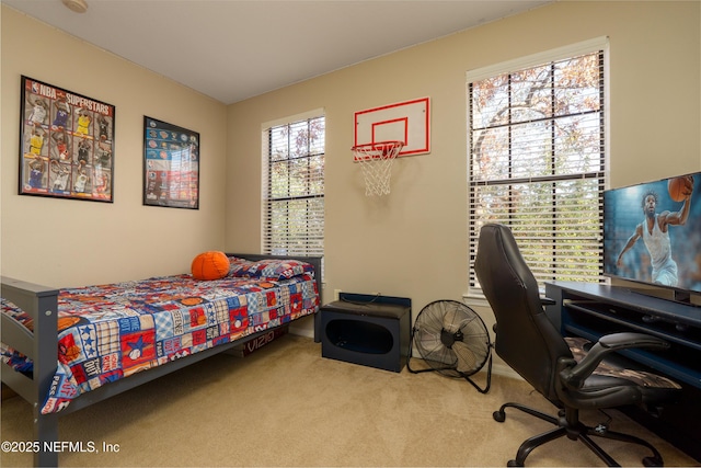 bedroom with light carpet