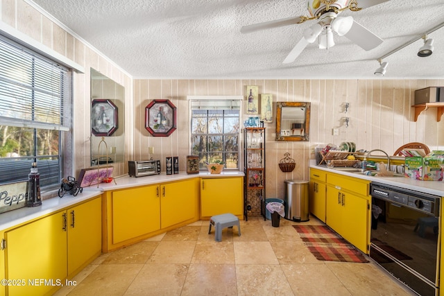 kitchen featuring a wealth of natural light, dishwasher, sink, and wood walls