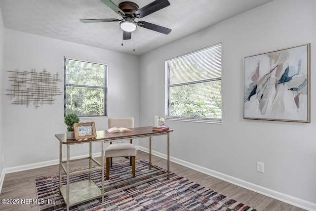 office space with hardwood / wood-style flooring and ceiling fan