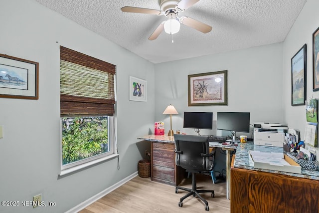 home office featuring ceiling fan, a textured ceiling, and light wood-type flooring