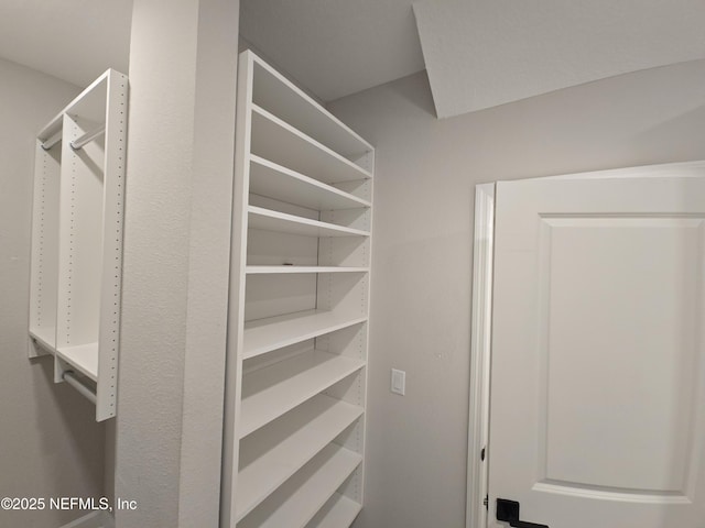 view of walk in closet