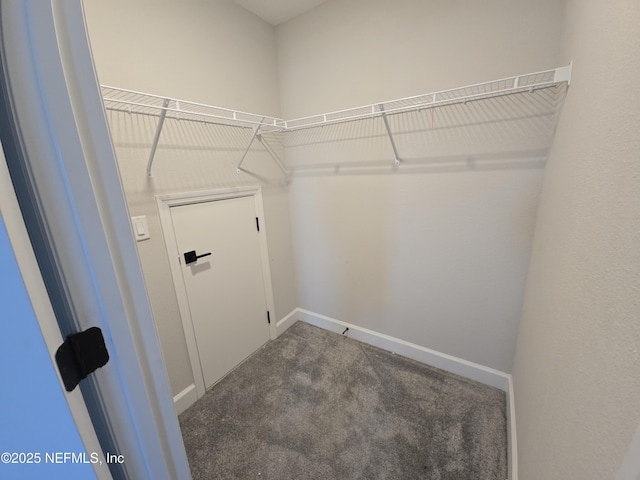 spacious closet with carpet flooring