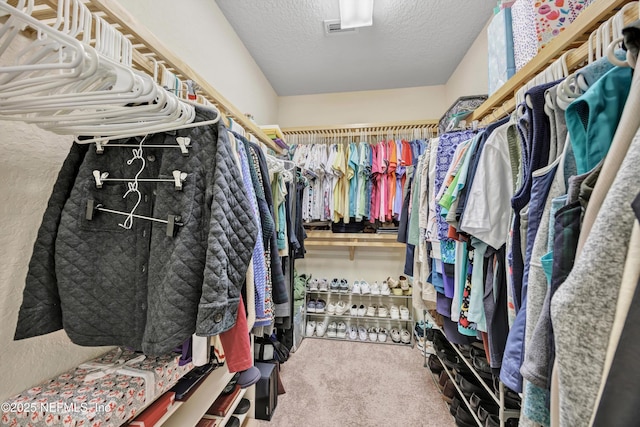 spacious closet featuring carpet floors