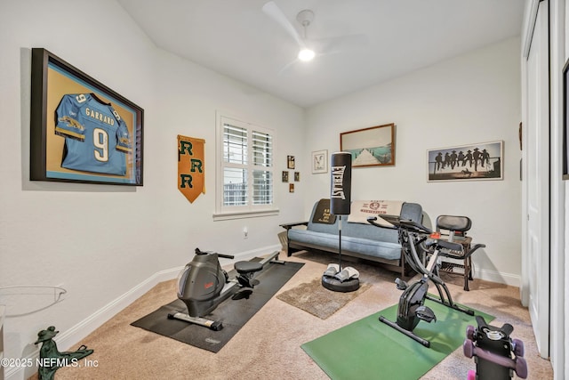 workout area with carpet flooring