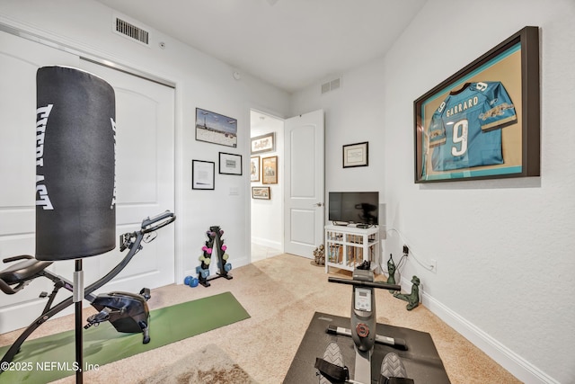 workout room featuring carpet floors