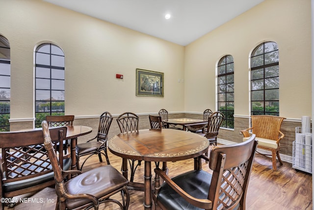 dining area featuring wood-type flooring and a wealth of natural light