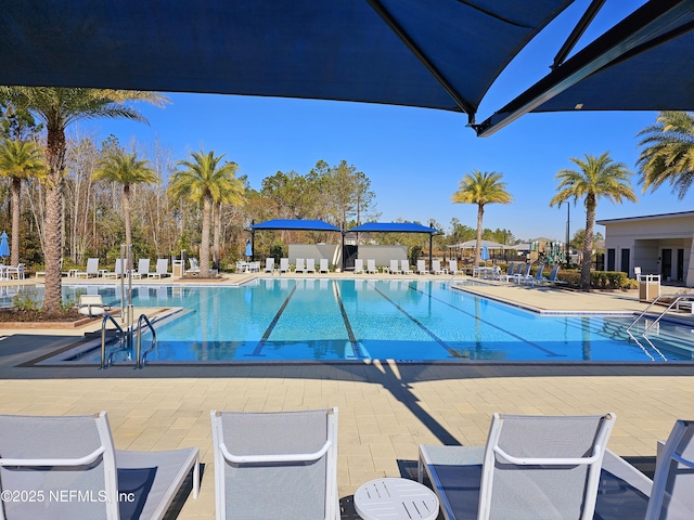 view of swimming pool with a patio area