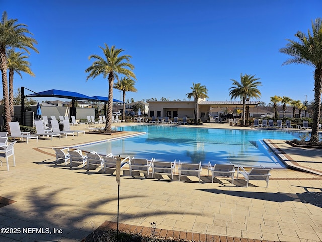 view of pool with a patio