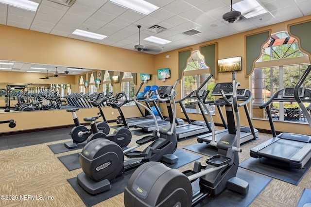 gym featuring a paneled ceiling, ceiling fan, and carpet flooring