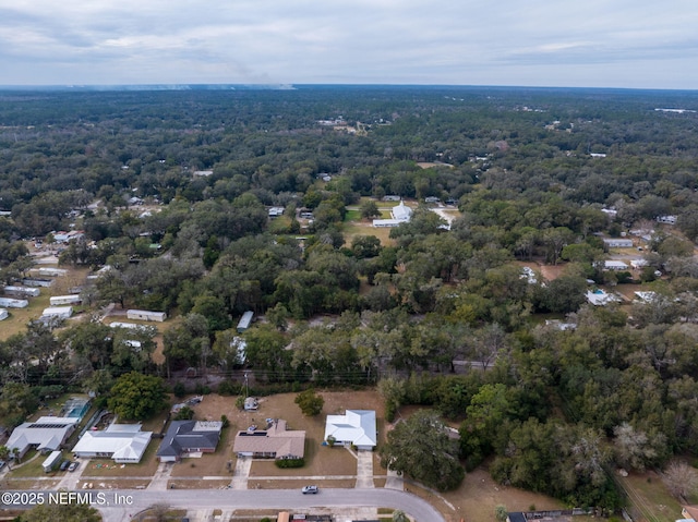 bird's eye view