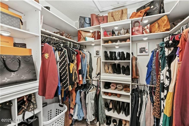 view of walk in closet