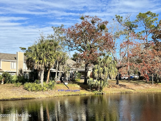 view of water feature