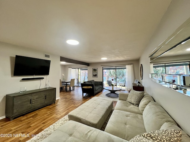 living room featuring wood-type flooring