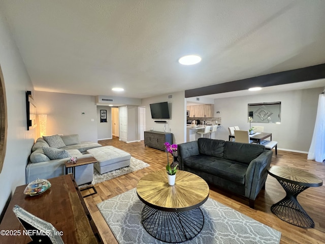 living room featuring light hardwood / wood-style floors