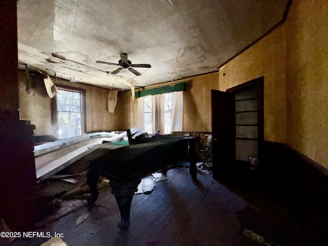 misc room featuring a healthy amount of sunlight and ceiling fan