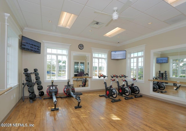 gym with hardwood / wood-style flooring and crown molding