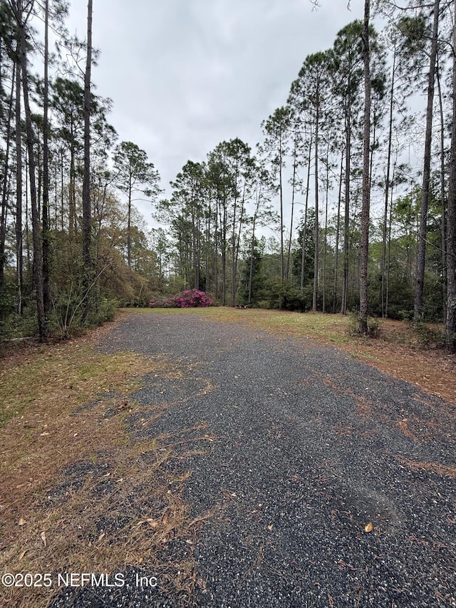 6444 County Road 218, Jacksonville, FL 32234 - photo 2