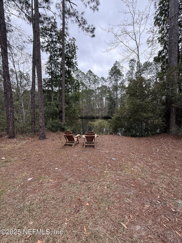 6444 County Road 218, Jacksonville, FL 32234 - photo 4
