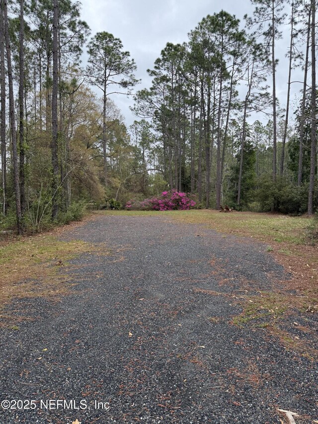 6444 County Road 218, Jacksonville, FL 32234 - photo 3