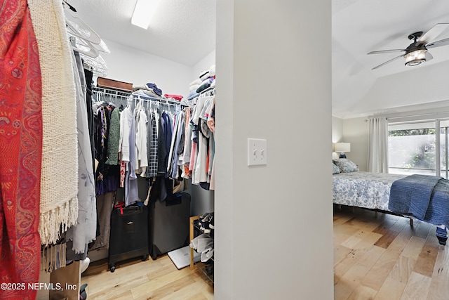 walk in closet featuring ceiling fan and light hardwood / wood-style floors