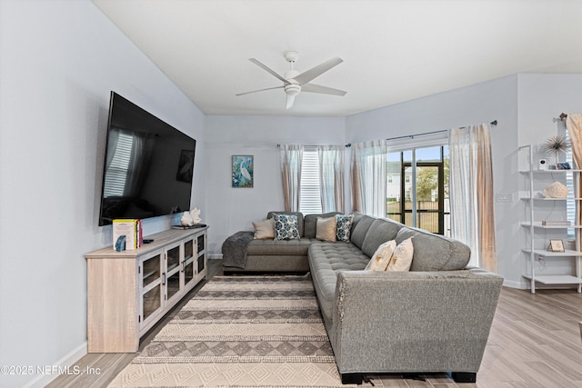 living room with ceiling fan and light wood-type flooring