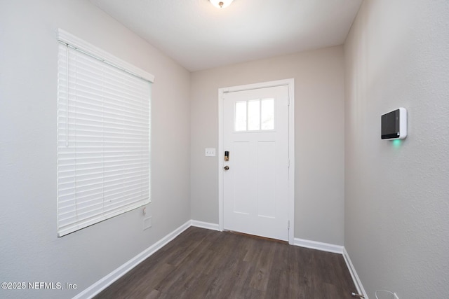 foyer entrance featuring dark wood-type flooring