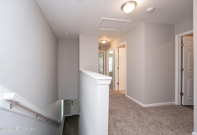 hallway with carpet floors and a textured ceiling