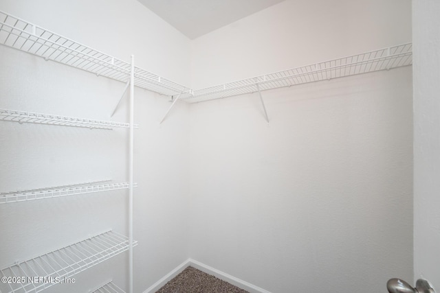 spacious closet with carpet floors