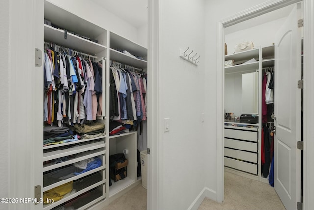 spacious closet with light carpet