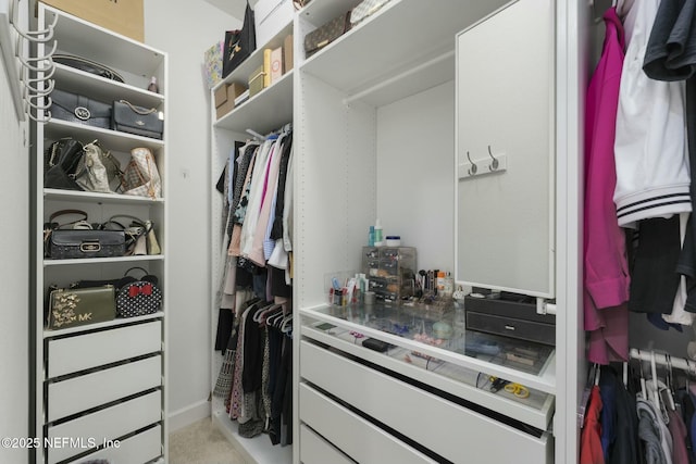 spacious closet with light carpet