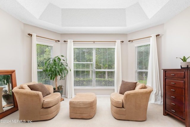 living area with light carpet, a textured ceiling, and a tray ceiling