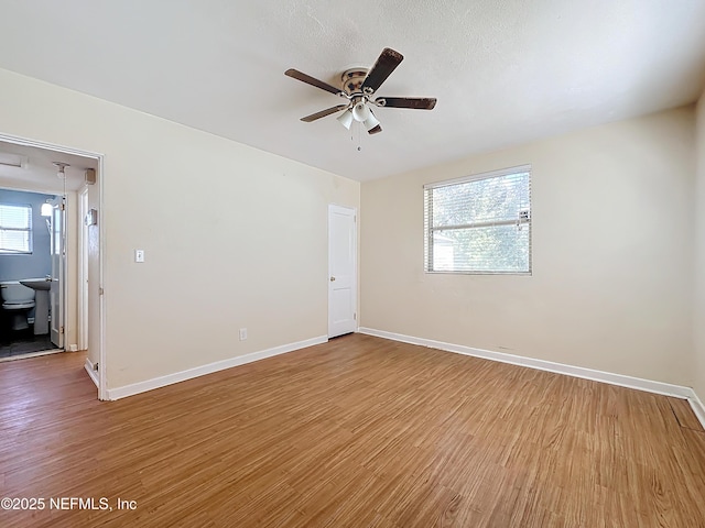 empty room featuring light hardwood / wood-style floors and ceiling fan