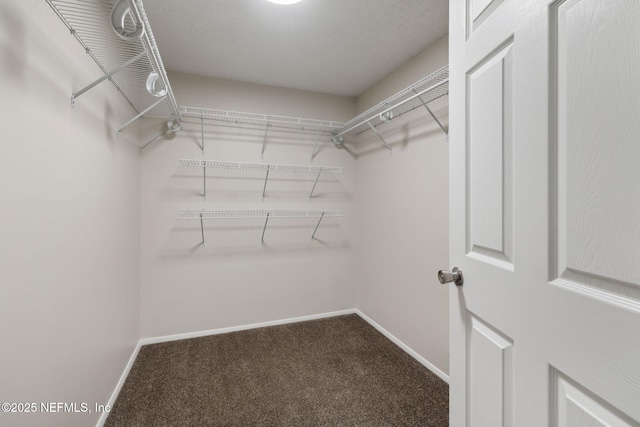 spacious closet with carpet floors