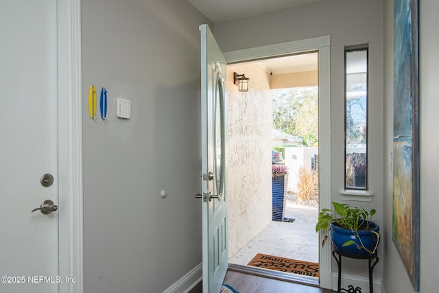 doorway to outside featuring wood-type flooring