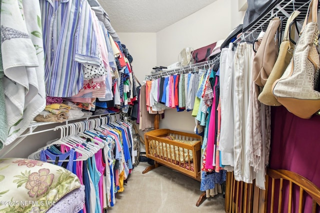 walk in closet with carpet floors