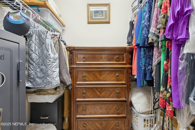 view of walk in closet