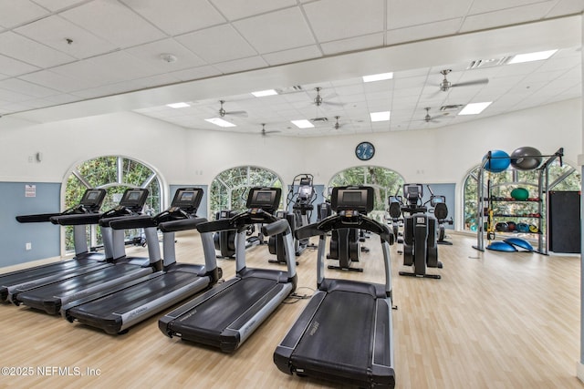 workout area featuring ceiling fan, wood finished floors, and a paneled ceiling