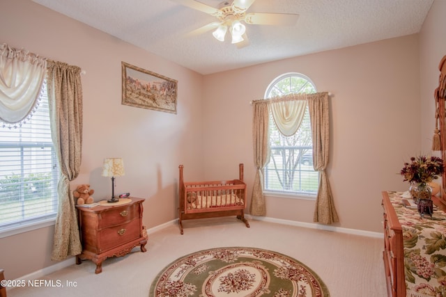 4250 Eagle Landing Pkwy, Orange Park, FL 32065 - sitting room featuring carpet floors, a ceiling fan, and a textured ceiling