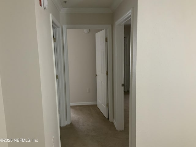 hall with ornamental molding and light carpet