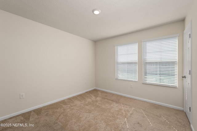 spare room featuring light carpet