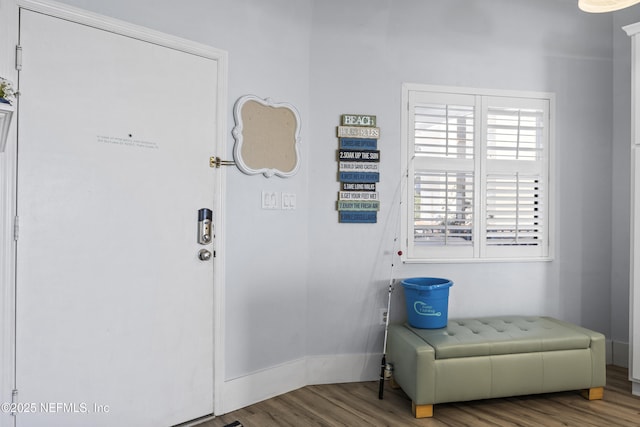 entryway featuring hardwood / wood-style flooring