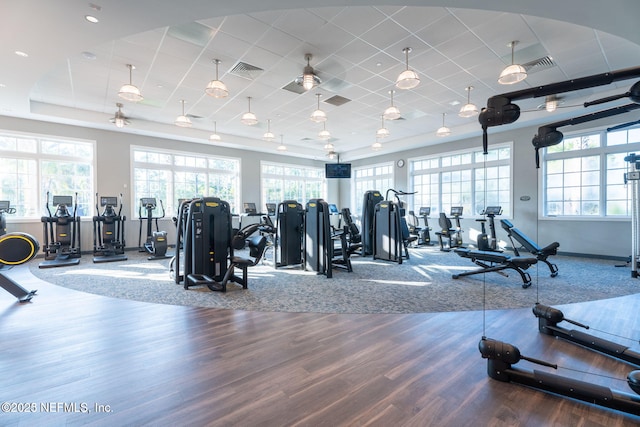 exercise room with hardwood / wood-style floors, a wealth of natural light, a raised ceiling, and a paneled ceiling