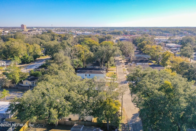 bird's eye view