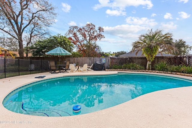 view of swimming pool with a patio