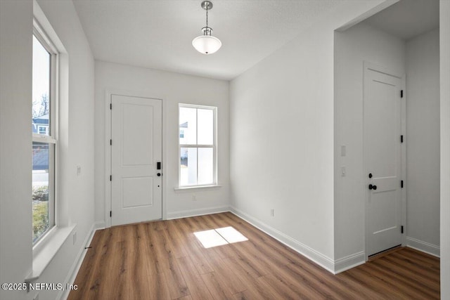 entryway with hardwood / wood-style flooring